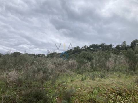 Terreno Rústico  Venda em Barcel, Marmelos e Valverde da Gestosa,Mirandela