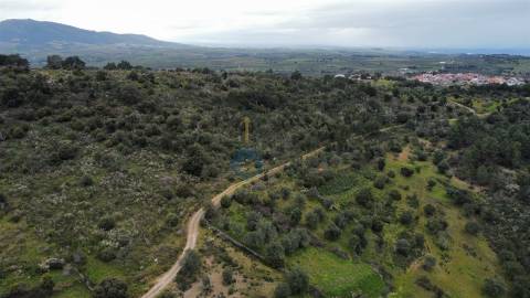Terreno Rústico  Venda em Barcel, Marmelos e Valverde da Gestosa,Mirandela
