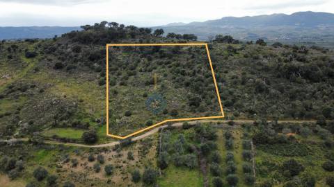 Terreno Rústico  Venda em Barcel, Marmelos e Valverde da Gestosa,Mirandela