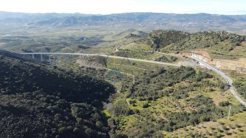 Terreno Rústico  Venda em Eucisia, Gouveia e Valverde,Alfândega da Fé