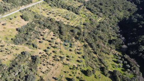 Terreno Rústico  Venda em Eucisia, Gouveia e Valverde,Alfândega da Fé