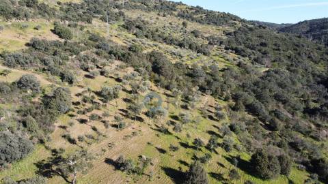 Terreno Rústico  Venda em Eucisia, Gouveia e Valverde,Alfândega da Fé