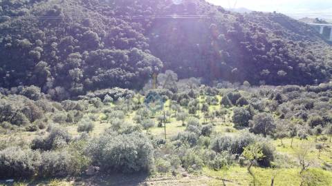 Terreno Rústico  Venda em Eucisia, Gouveia e Valverde,Alfândega da Fé