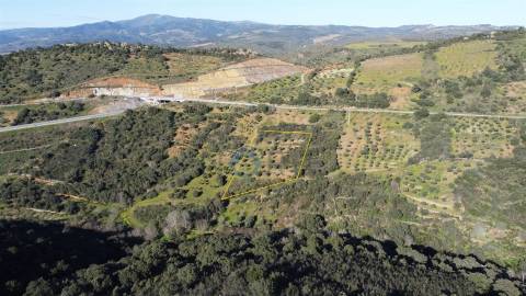 Terreno Rústico  Venda em Eucisia, Gouveia e Valverde,Alfândega da Fé