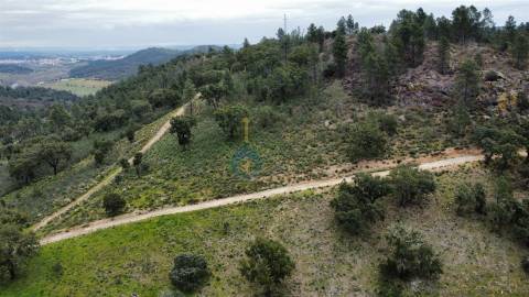 Terreno Rústico  Venda em Barcel, Marmelos e Valverde da Gestosa,Mirandela