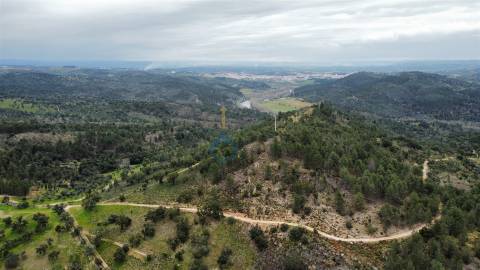 Terreno Rústico  Venda em Barcel, Marmelos e Valverde da Gestosa,Mirandela
