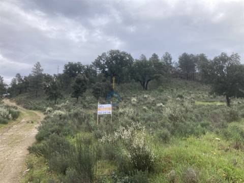 Terreno Rústico  Venda em Barcel, Marmelos e Valverde da Gestosa,Mirandela