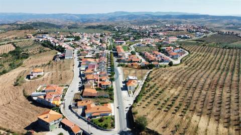 Terreno Para Construção  Venda em Alfândega da Fé,Alfandega da Fé