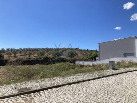 Terreno Para Construção  Venda em Alfândega da Fé,Alfandega da Fé