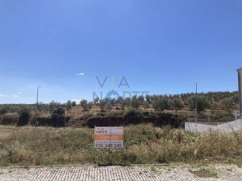 Terreno Para Construção  Venda em Alfândega da Fé,Alfandega da Fé