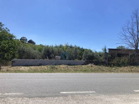 Terreno Para Construção  Venda em Alfândega da Fé,Alfandega da Fé