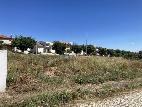 Terreno Para Construção  Venda em Alfândega da Fé,Alfandega da Fé