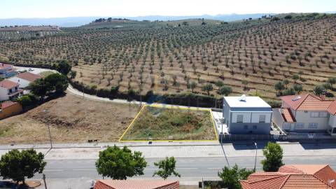 Terreno Para Construção  Venda em Alfândega da Fé,Alfandega da Fé