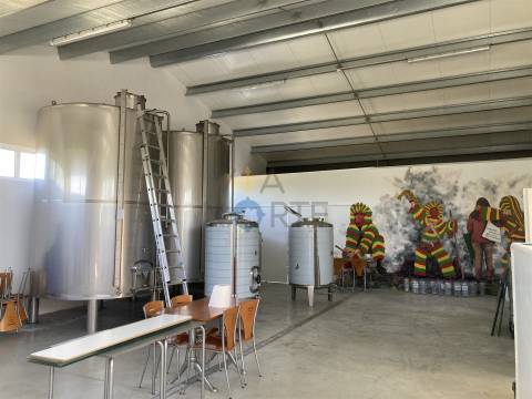 Quinta  Venda em Castelãos e Vilar do Monte,Macedo de Cavaleiros