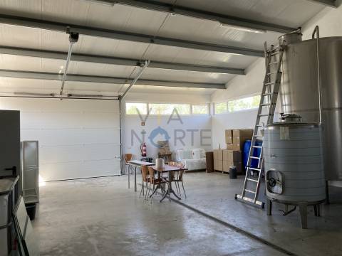 Quinta  Venda em Castelãos e Vilar do Monte,Macedo de Cavaleiros