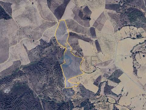 Terreno Rústico  Venda em Vilar Chão,Alfândega da Fé