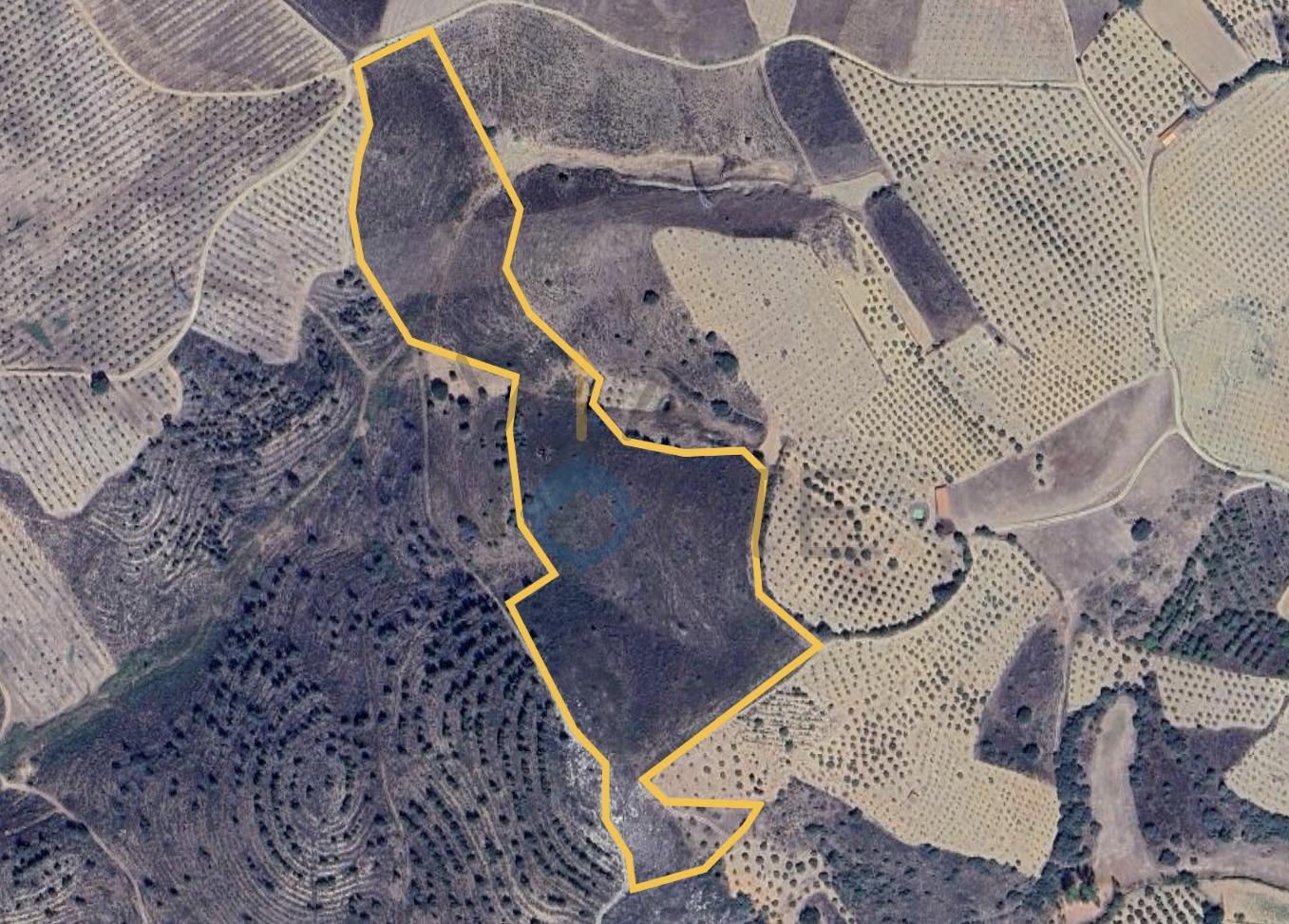 Terreno Rústico  Venda em Vilar Chão,Alfândega da Fé