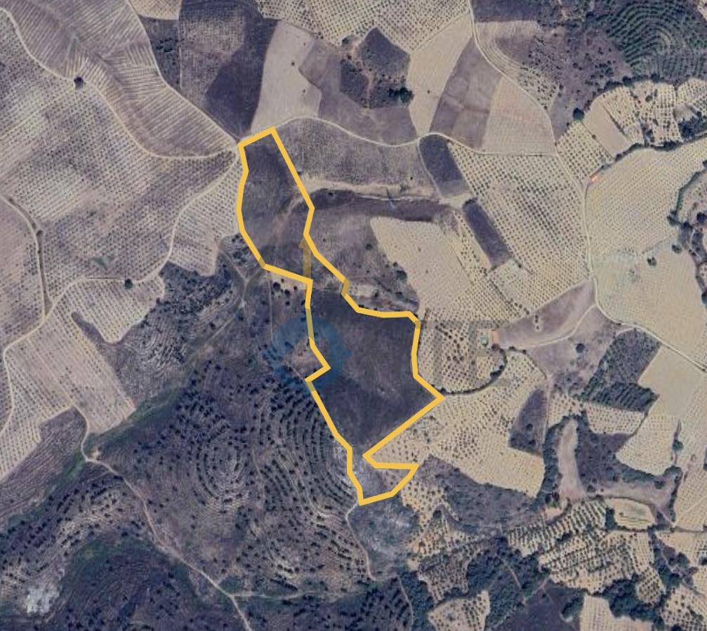 Terreno Rústico  Venda em Vilar Chão,Alfândega da Fé