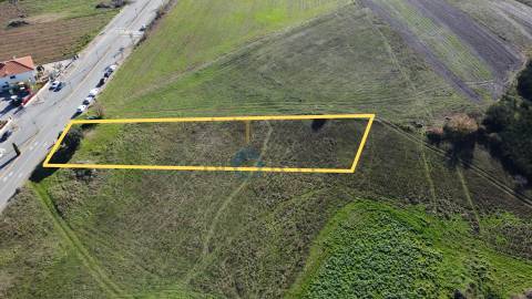 Terreno Rústico  Venda em Mogadouro, Valverde, Vale de Porco e Vilar de Rei,Mogadouro