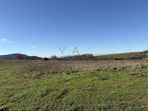 Terreno Rústico  Venda em Mogadouro, Valverde, Vale de Porco e Vilar de Rei,Mogadouro