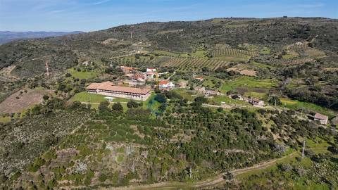 Hotel  Venda em Mirandela,Mirandela
