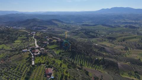 Hotel  Venda em Mirandela,Mirandela