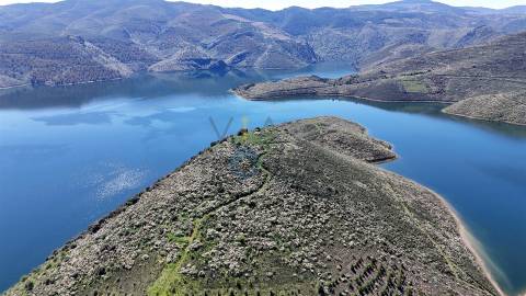 Quinta  Venda em Cerejais,Alfândega da Fé