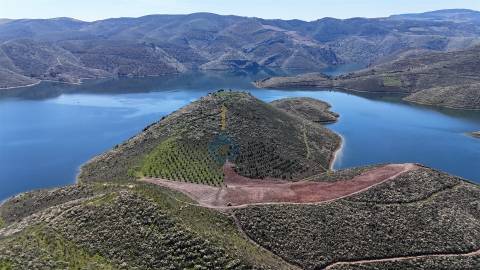 Quinta  Venda em Cerejais,Alfândega da Fé