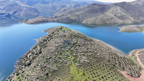 Quinta  Venda em Cerejais,Alfândega da Fé