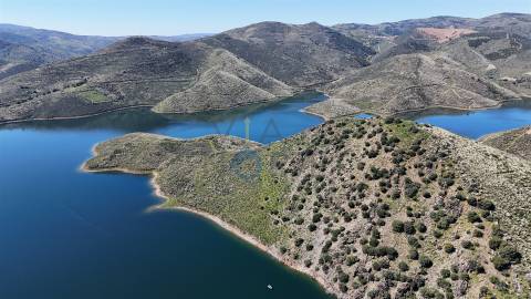 Quinta  Venda em Cerejais,Alfândega da Fé