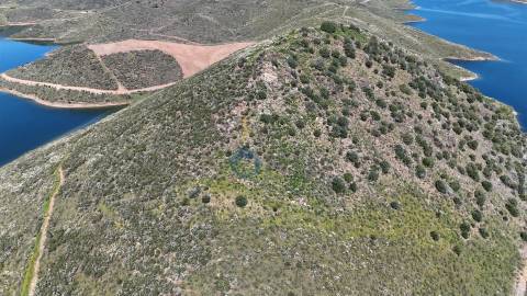 Quinta  Venda em Cerejais,Alfândega da Fé