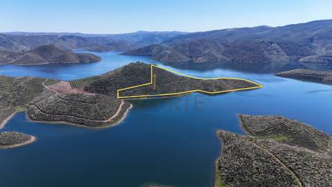 Quinta  Venda em Cerejais,Alfândega da Fé