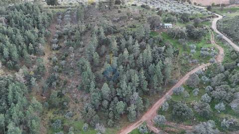 Quinta  Venda em Alfândega da Fé,Alfândega da Fé