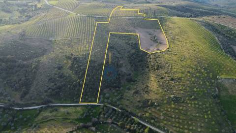Terreno Rústico  Venda em Adeganha e Cardanha,Torre de Moncorvo