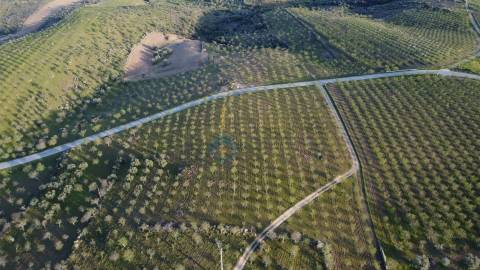 Terreno Rústico  Venda em Adeganha e Cardanha,Torre de Moncorvo