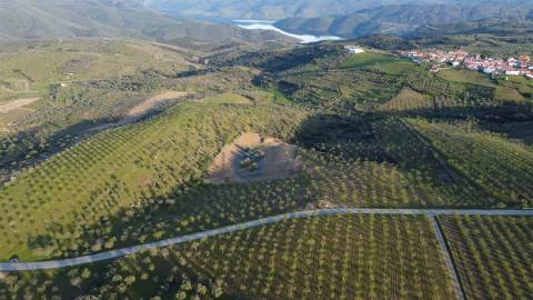 Terreno Rústico  Venda em Adeganha e Cardanha,Torre de Moncorvo