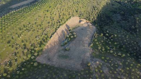 Terreno Rústico  Venda em Adeganha e Cardanha,Torre de Moncorvo