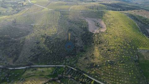 Terreno Rústico  Venda em Adeganha e Cardanha,Torre de Moncorvo