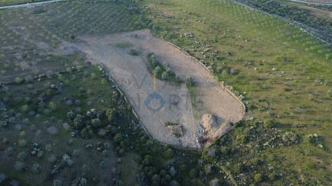 Terreno Rústico  Venda em Adeganha e Cardanha,Torre de Moncorvo