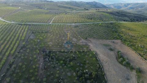 Terreno Rústico  Venda em Adeganha e Cardanha,Torre de Moncorvo