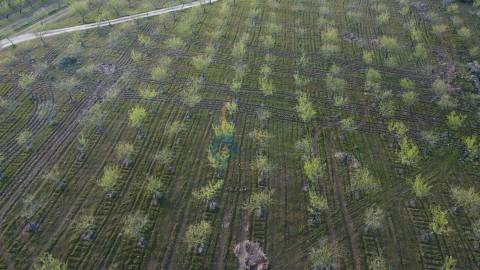 Terreno Rústico  Venda em Adeganha e Cardanha,Torre de Moncorvo