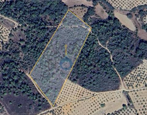 Terreno Rústico  Venda em Vilar Chão,Alfândega da Fé