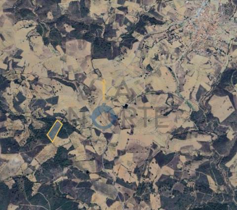 Terreno Rústico  Venda em Vilar Chão,Alfândega da Fé