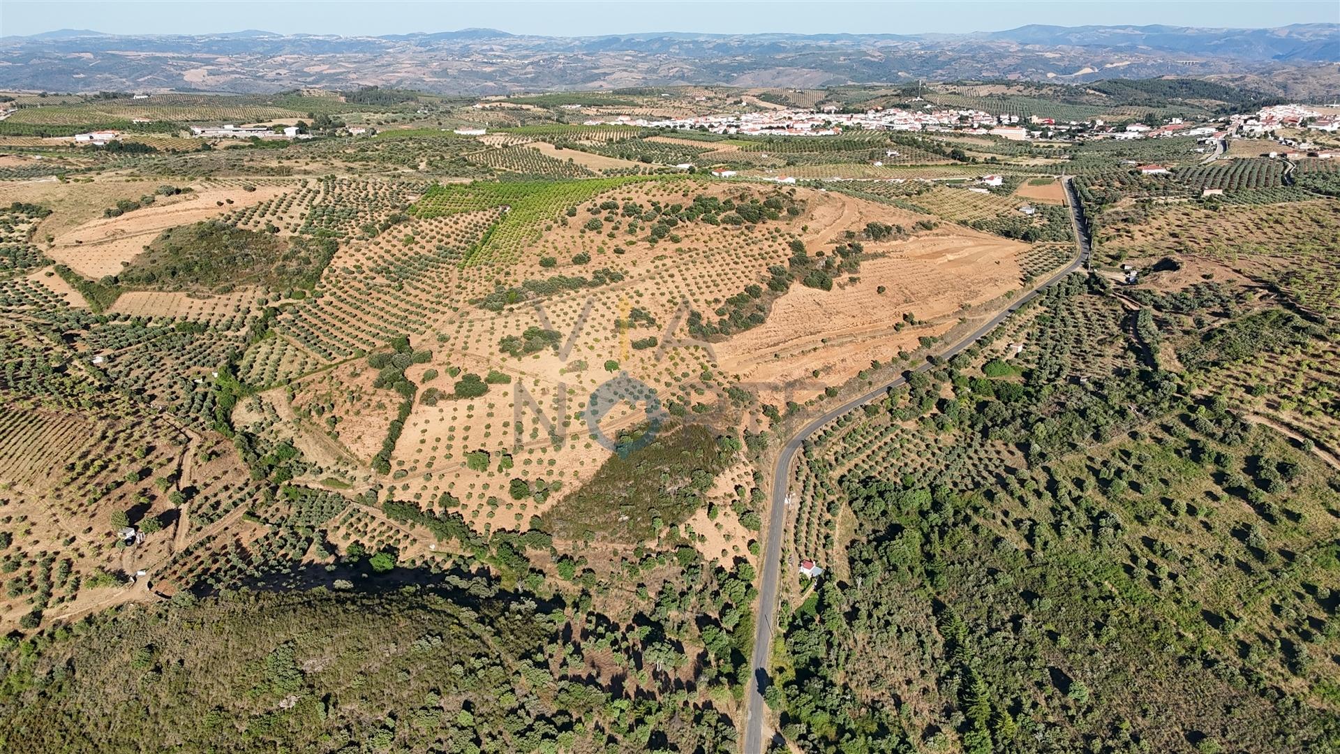 Quinta T3 Venda em Alfândega da Fé,Alfândega da Fé