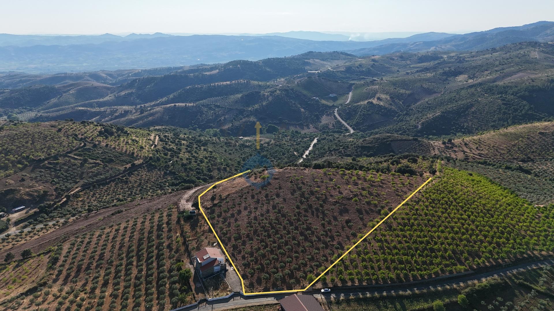 Quinta T3 Venda em Alfândega da Fé,Alfândega da Fé