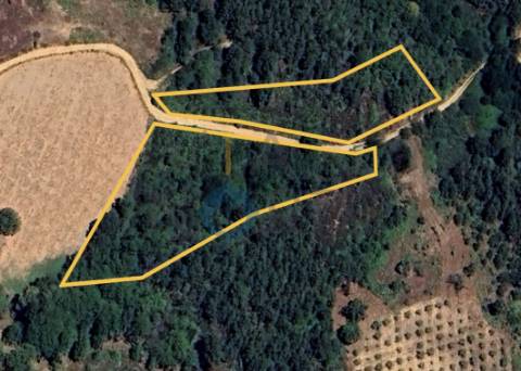 Terreno Rústico  Venda em Sambade,Alfândega da Fé