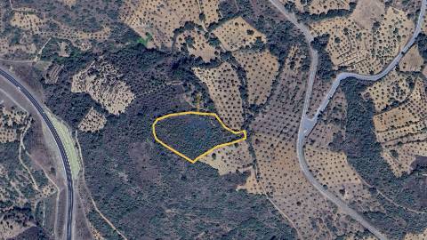 Terreno Rústico  Venda em Parada e Sendim da Ribeira,Alfândega da Fé