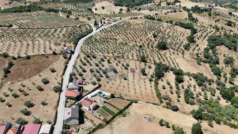 Terreno Rústico  Venda em Castro Vicente,Mogadouro