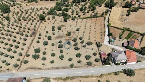Terreno Rústico  Venda em Castro Vicente,Mogadouro