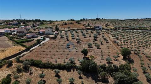 Terreno Rústico  Venda em Castro Vicente,Mogadouro